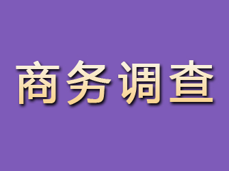 鲁山商务调查